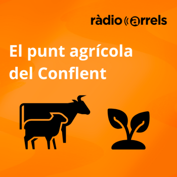 El Punt Agrícola del Conflent