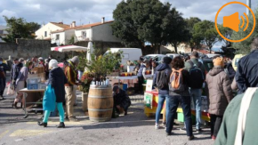 Ostres naturals són la principal novetat del Mercat de la Terra d'aquest diumenge a Elna