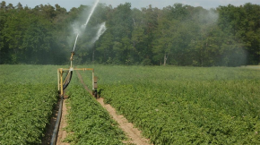 Els agricultors obtenen que la prefectura no imposi més restriccions d'aigua