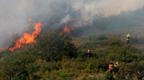 1 442 hectàrees cremades aquest estiu a Catalunya Nord