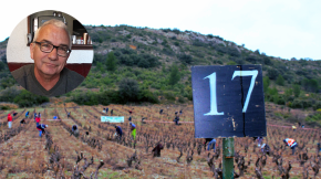Catalunya Nord té el concurs de poda de la vinya més antic de l'estat francès