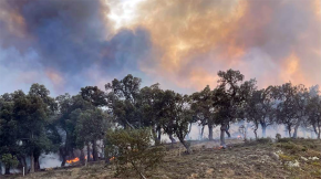 30 hectàrees cremades a Argelers de la Marenda