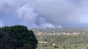 500 hectàrees cremades a l'Albera