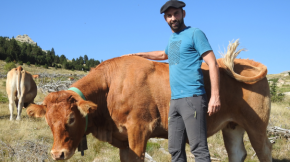 La sequera dificulta l’autonomia alimentària de la ramaderia al Vallespir 