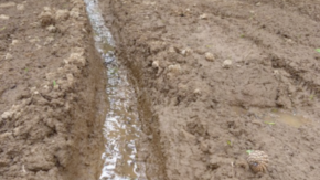 Per la Trobada de Sant Joan, la pista del Canigó serà tancada a la circulació.