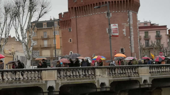 Maifestació a Perpinyà