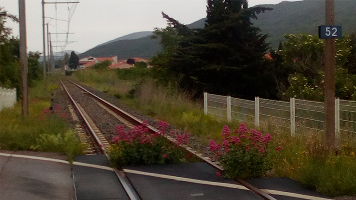 La línia de tren Perpinyà-Vilafranca del Conflent
