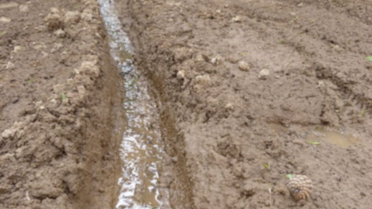 Pista del Llech (Canigó)